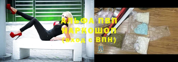 дживик Мегион