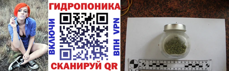 ОМГ ОМГ как зайти  Ясный  Шишки марихуана OG Kush 